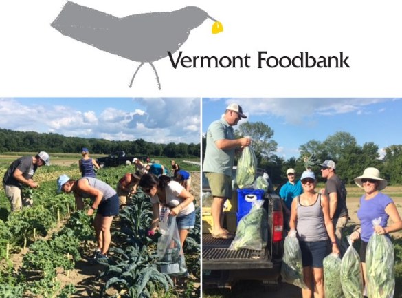 Vermont Foodbank Gleaning