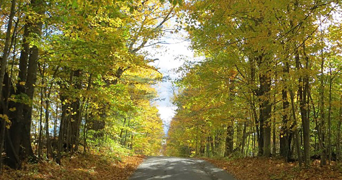 Beautiful country road in fall