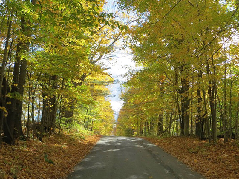 Beautiful country road in fall