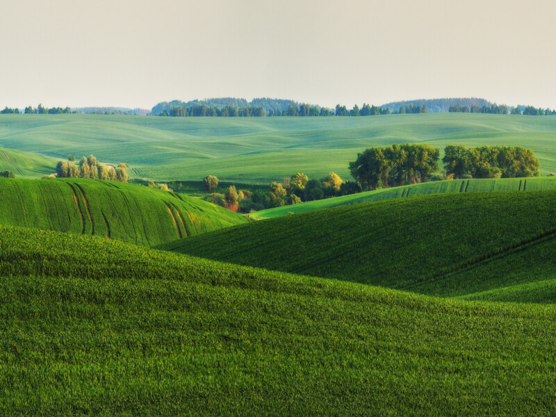 Rolling green hills