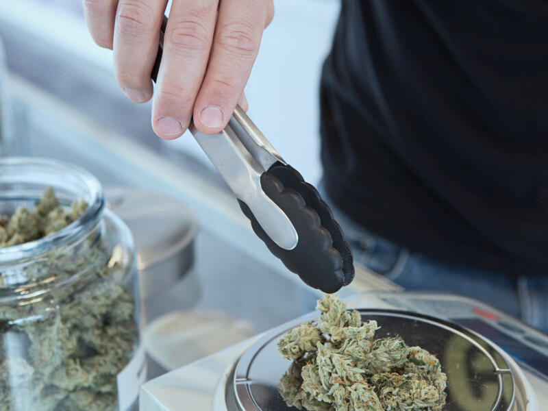 man weighing marijuana buds on scale