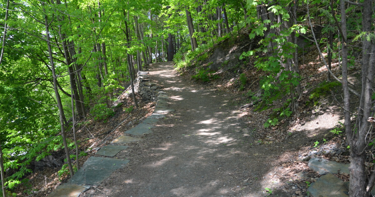 Woody Trail in Hubbard Park